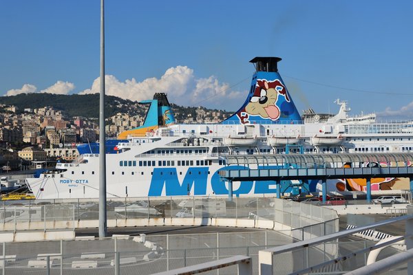 Quels sont les secrets pour une croisière économique dans les fjords norvégiens ?