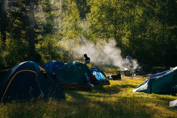 Quels sont les conseils pour un camping en région de forêt de conifères en hiver?